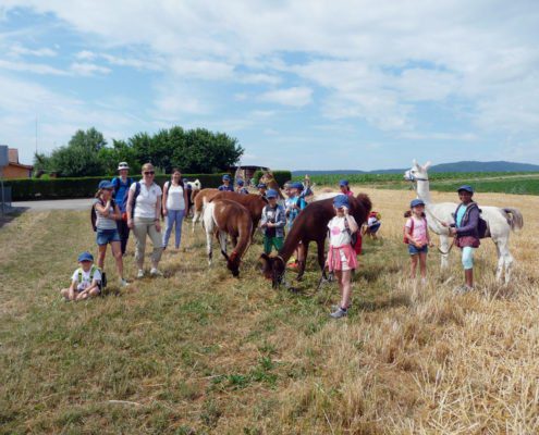 Ferien Events
