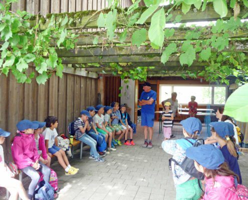 Ferien Events