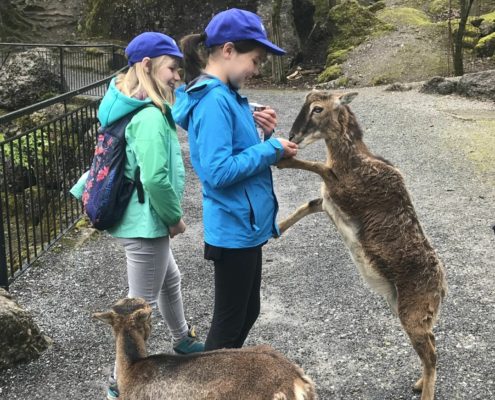 Tierpark Goldau