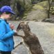 Tierpark