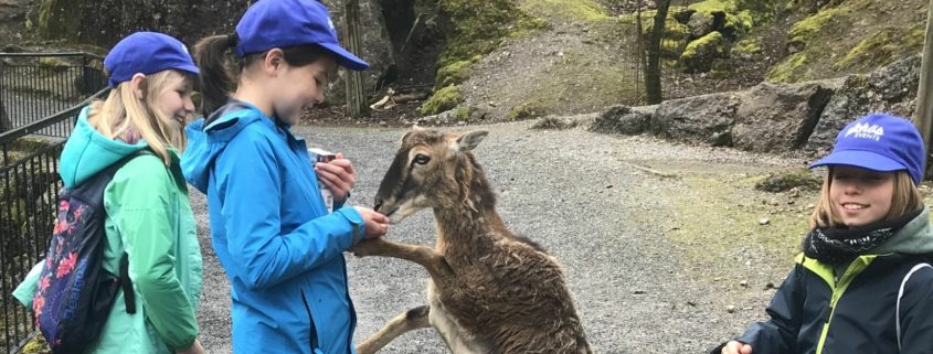 Tierpark